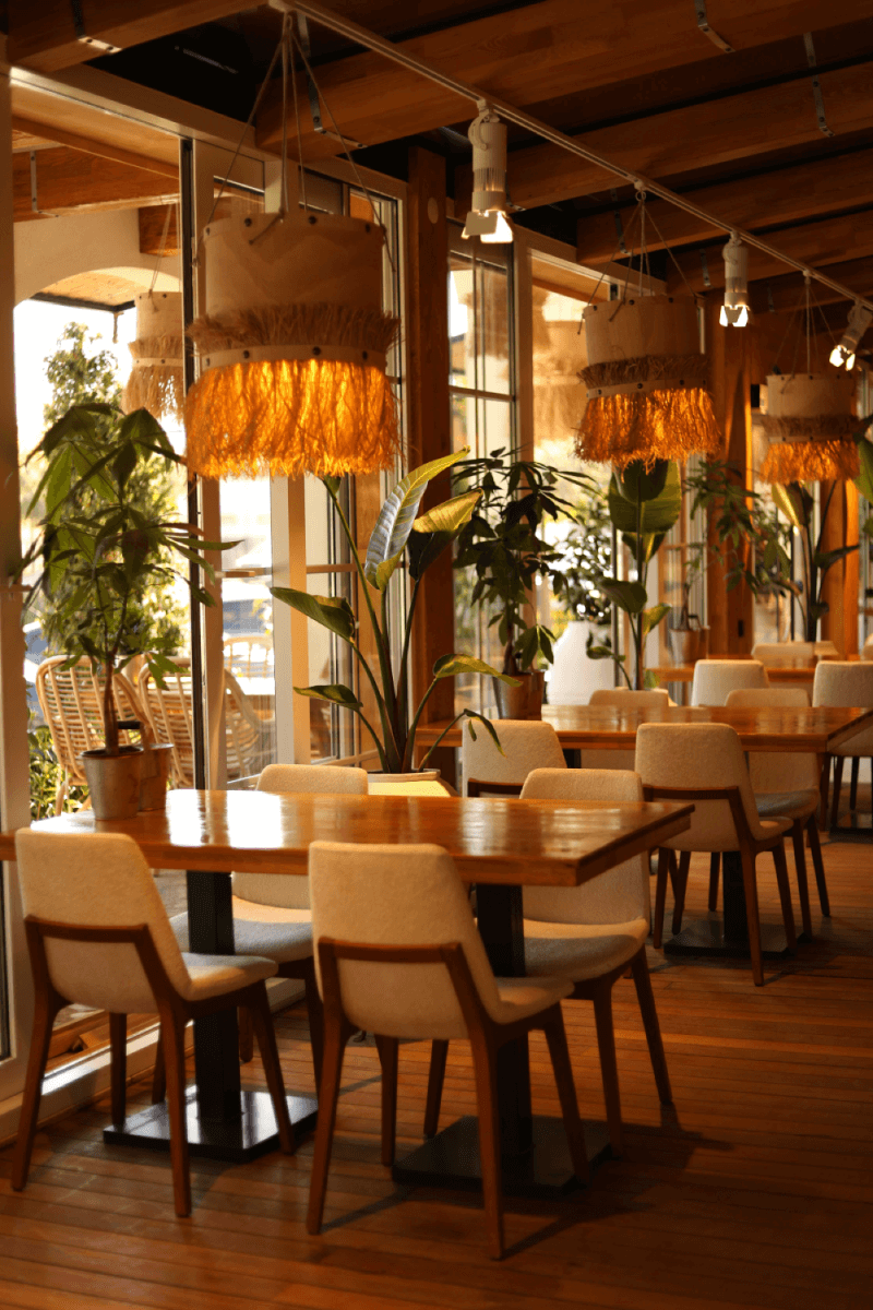 PizzaKoy, PizzaKoy, PizzaKoy, PizzaKoy, PizzaKoy, PizzaKoy, PizzaKoy, PizzaKoy, PizzaKoy, PizzaKoy, PizzaKoy, PizzaKoy, PizzaKoy, PizzaKoy, PizzaKoy, PizzaK